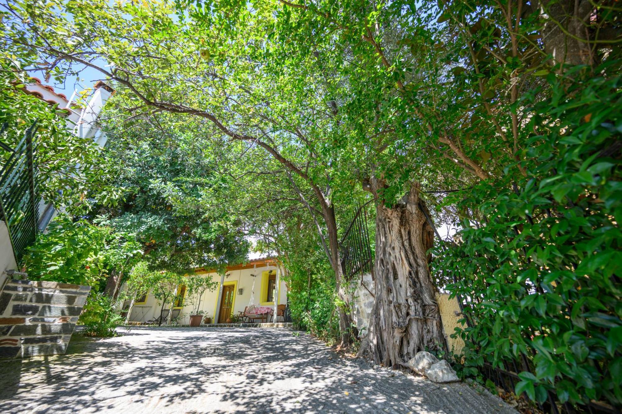 Small Villa Gerani Agios Vlasios  Bagian luar foto